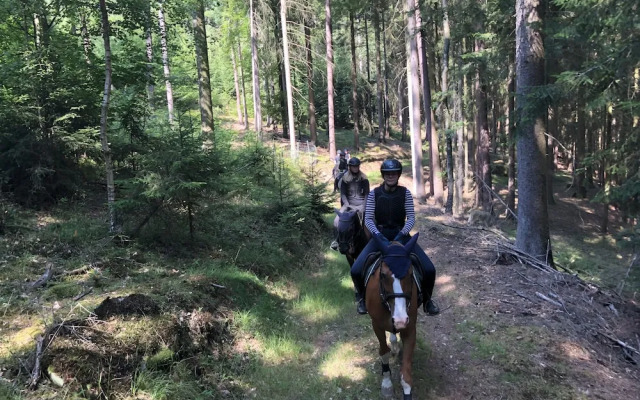 Pension & Reitschule Fuchsenhof