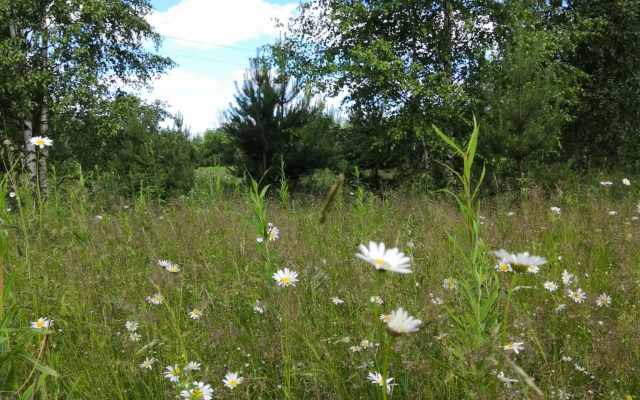 Усадьба Красивая