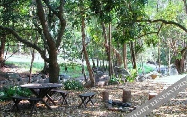 Mt Warning Rainforest Park