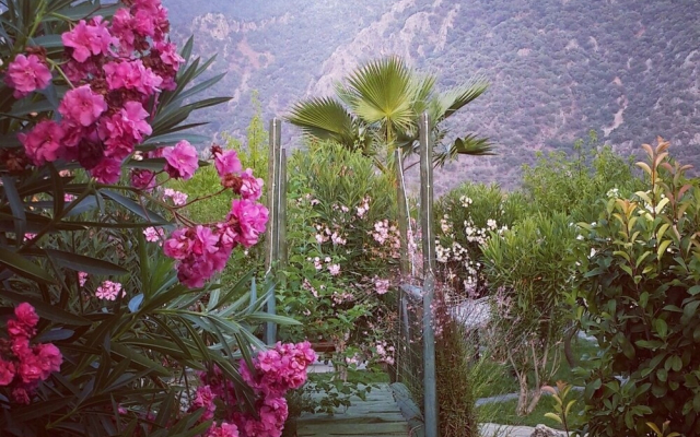 BahausResortDalyan