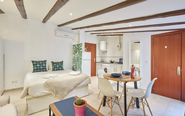 Attic apartment in the historic center