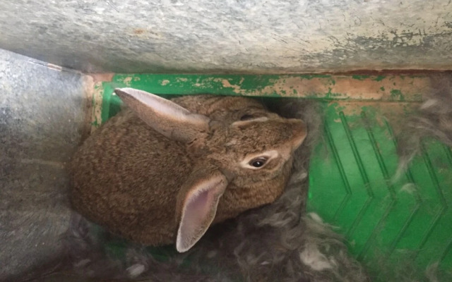 Romantic House for 2 People With Jacuzzi