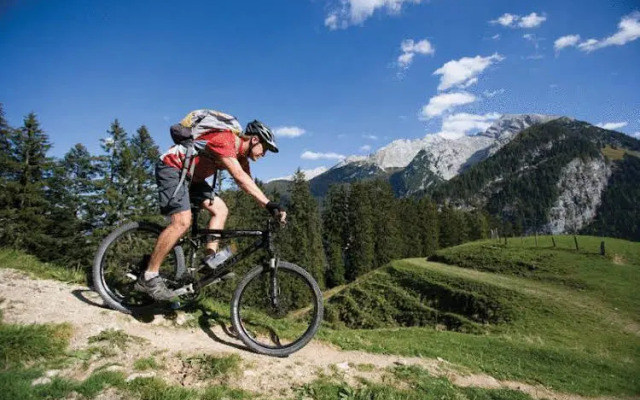 Wohlfühlgasthof Friedlwirt