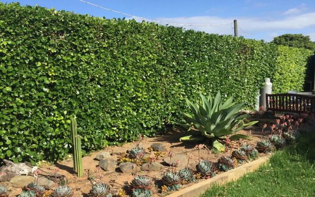 Kangaroo Island Backpackers - Hostel