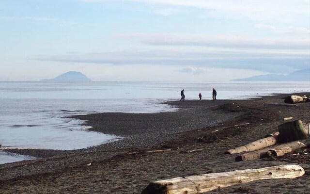 Tsawwassen Vancouver 4bdrm House