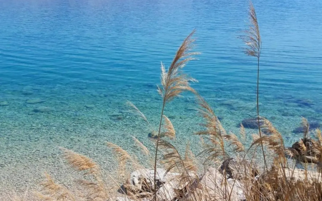 Apartments Pocrnić - 50 m from the beach