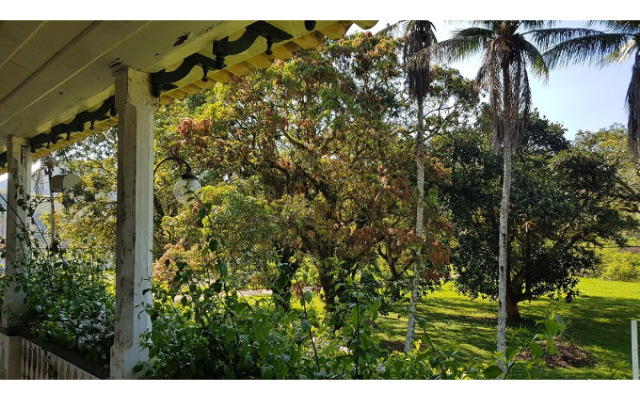 Fazenda São Fernando