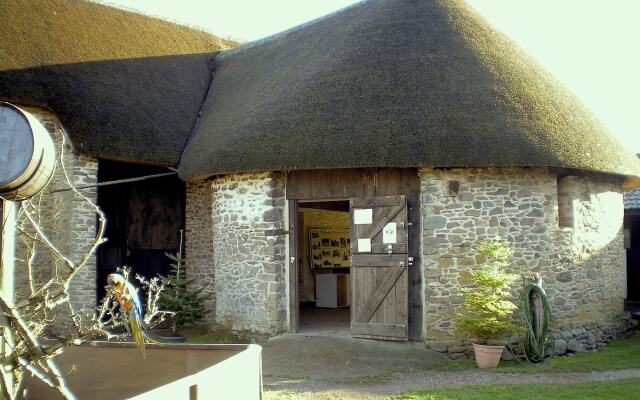 Exmoor Owl & Hawk Centre