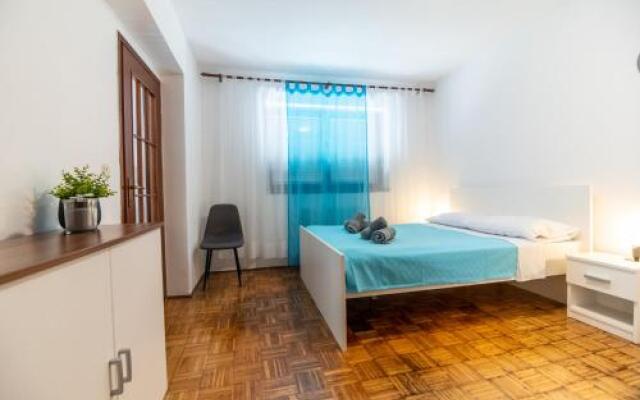 Apartment Viki