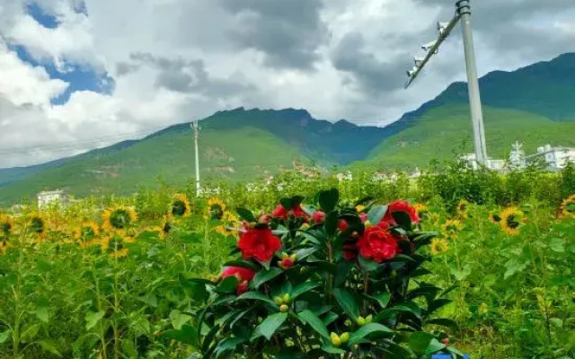 Nanhuaju Homestay