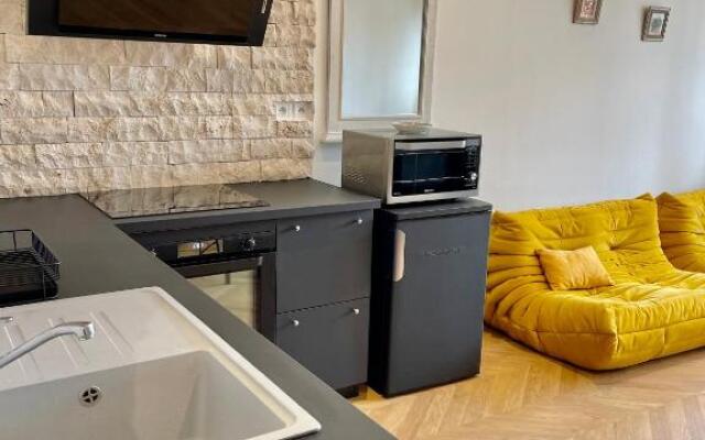 Superbe 40 m2 tout confort au cœur de Dijon