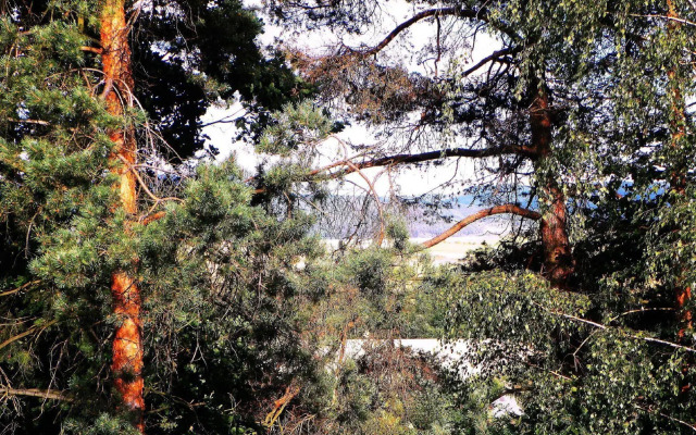Penzion Bor