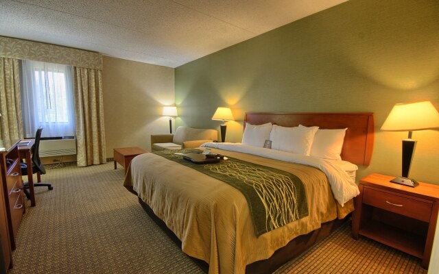 Comfort Inn Near Greenfield Village