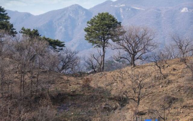 Beijing Yongjie Tongxin Meisu