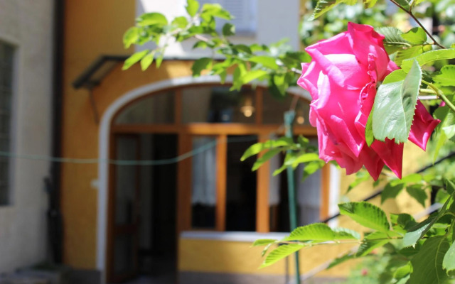 Rose Apartment Lugano