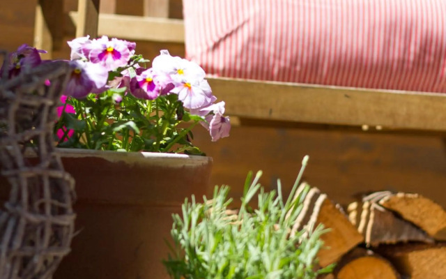 Steinbock Superior Appartement