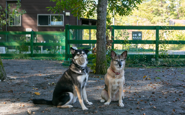 Azumino Onsen Dog Run Oyado Tantan