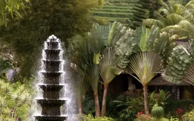 Kundalini Beach Houses