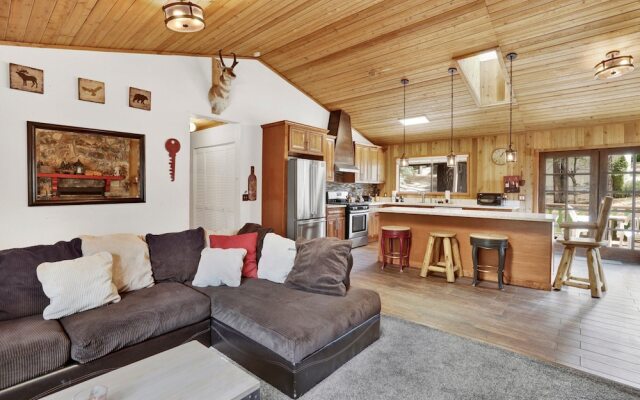 Pines AND Needles #1454