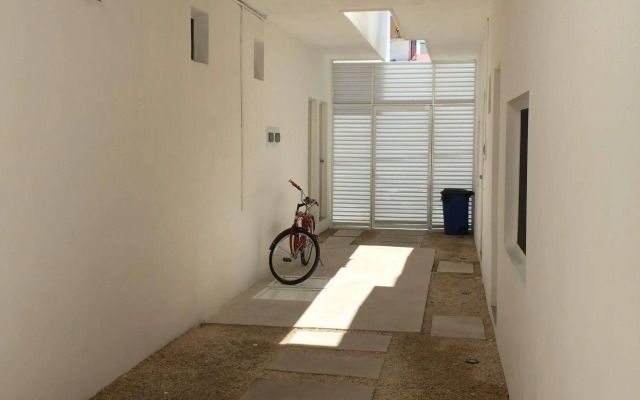 Emotion Studios Playa del Carmen