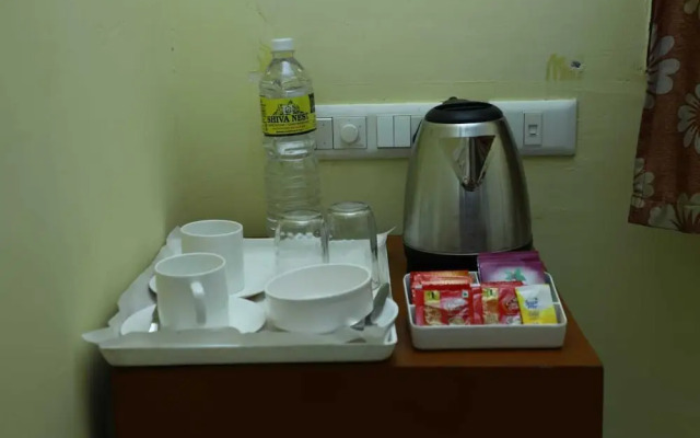 Shiva Nest