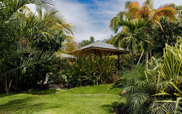 Soul Spring Sanctuary Cuernavaca