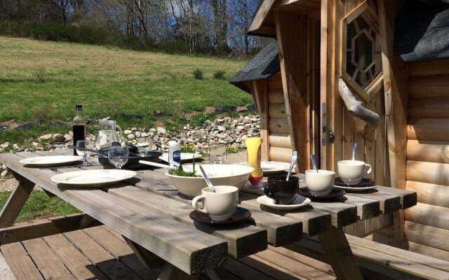 Voler Avec les Oiseaux