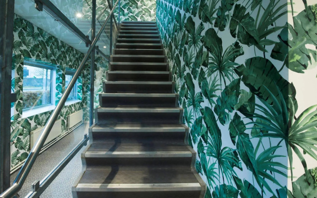 ibis Styles Amsterdam Airport (new)