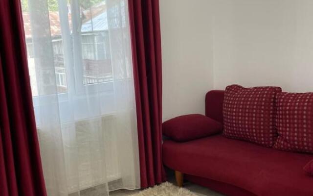 Apartament Nemira