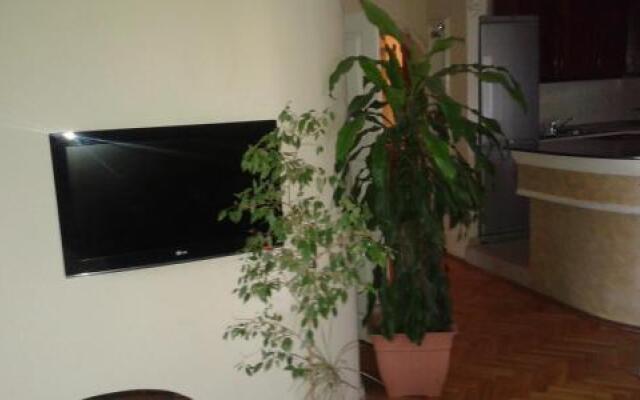 Fis Centar Apartment