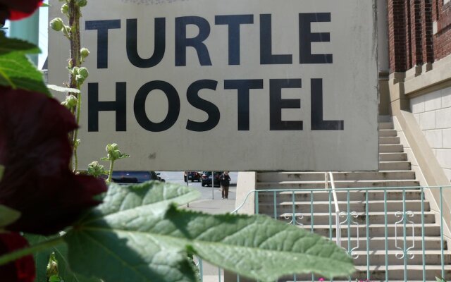 Turtle Hostel