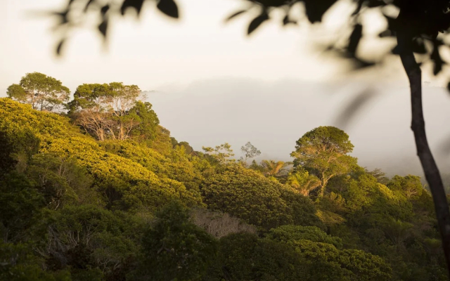 KA BRU Forest Villa