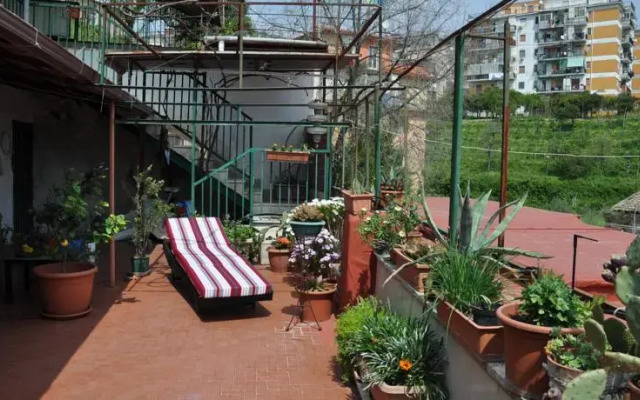 Marina Guest House