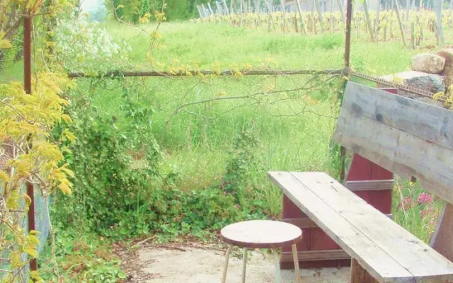 Cabane de Vigne