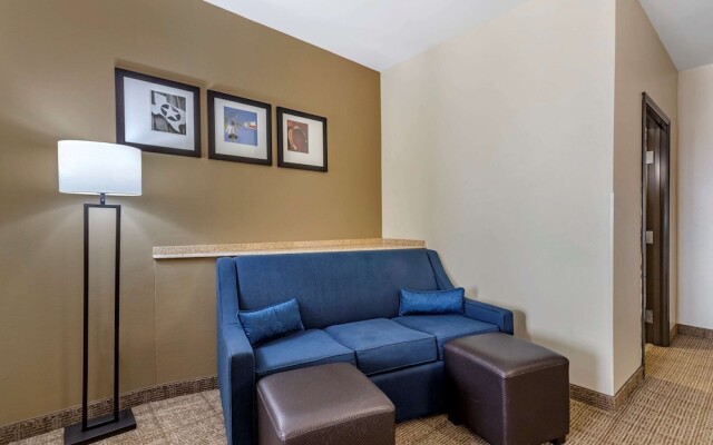 Comfort Suites Buda - Austin South
