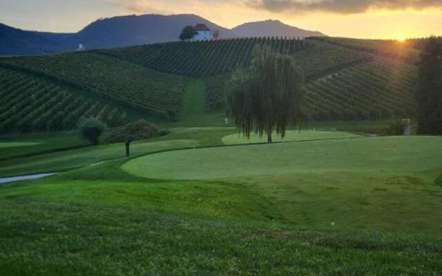 Wine Grower's Mansion Zlati Gric