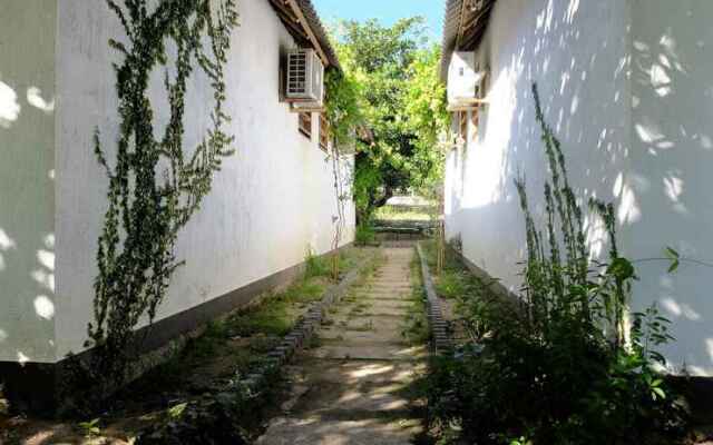 Dao Hoa Vang Villa