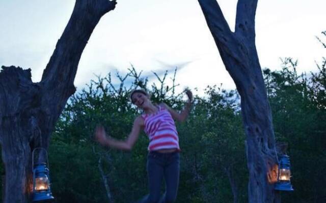 Wild Olive Tree Camp