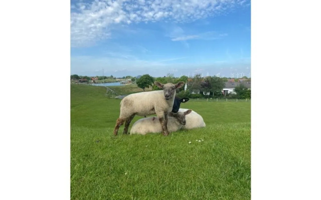 Home Port Modern Retreat