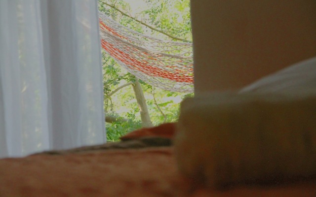 Farinha de Pau - Eco Rural Project