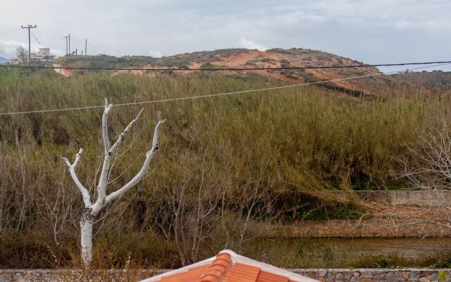 Nima's Beach Apartment