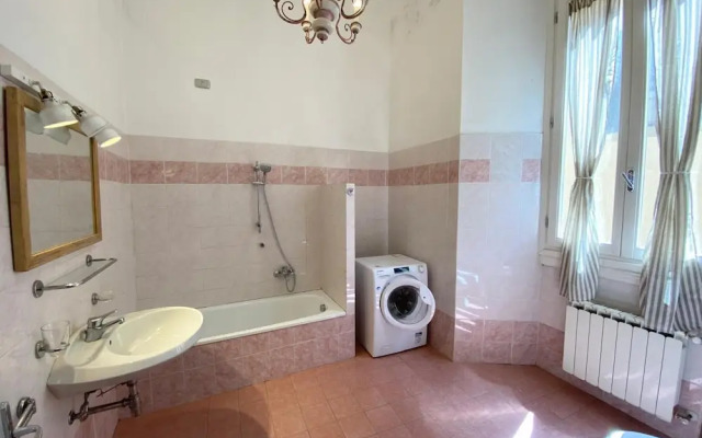 Greci 16 Bilo in Firenze