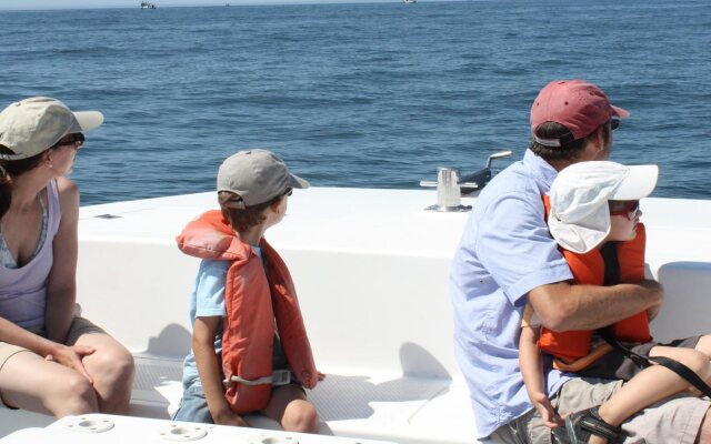 Cape St Francis Resort