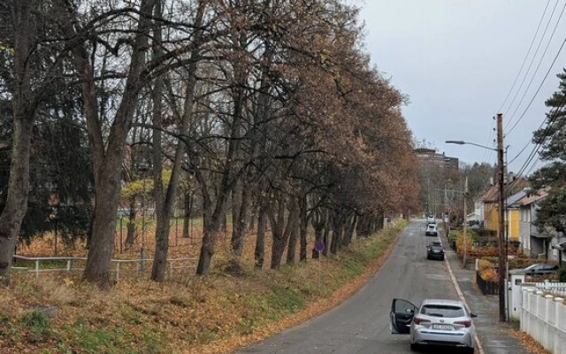 NYC Studio in Central Oslo