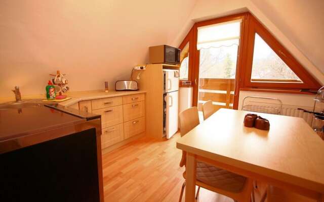 Tatrytop Apartamenty Pod Skocznia