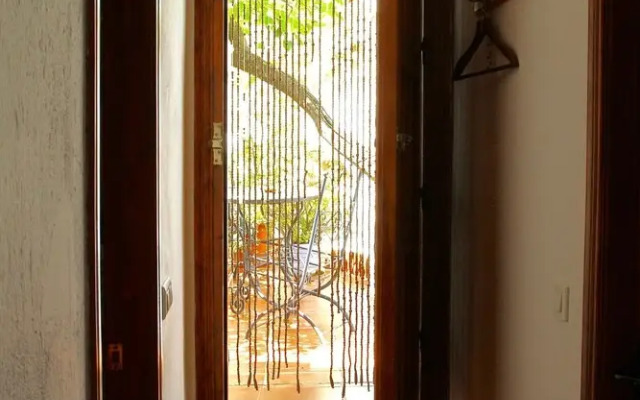 Lemon Tree Patio