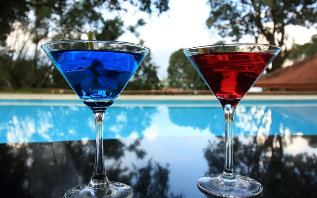 The Tamara Coorg