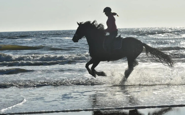 B&B Buiten Gewoon Callantsoog