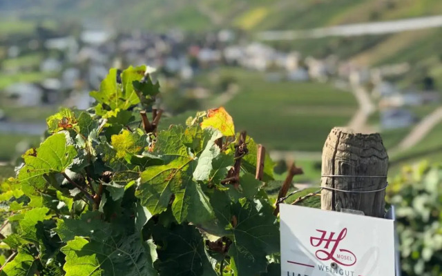 Weingut Harald Ludwig