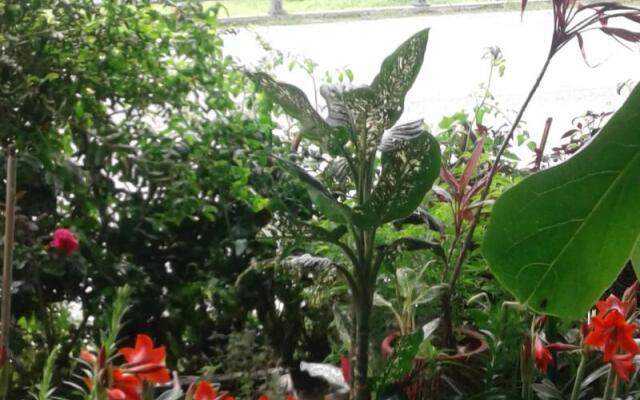 Taitung Linyuan B&B